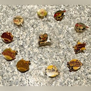 Disney Vintage 1980’s Disneyland 30th Anniversary Enameled 11 Pins Set Lot Rare